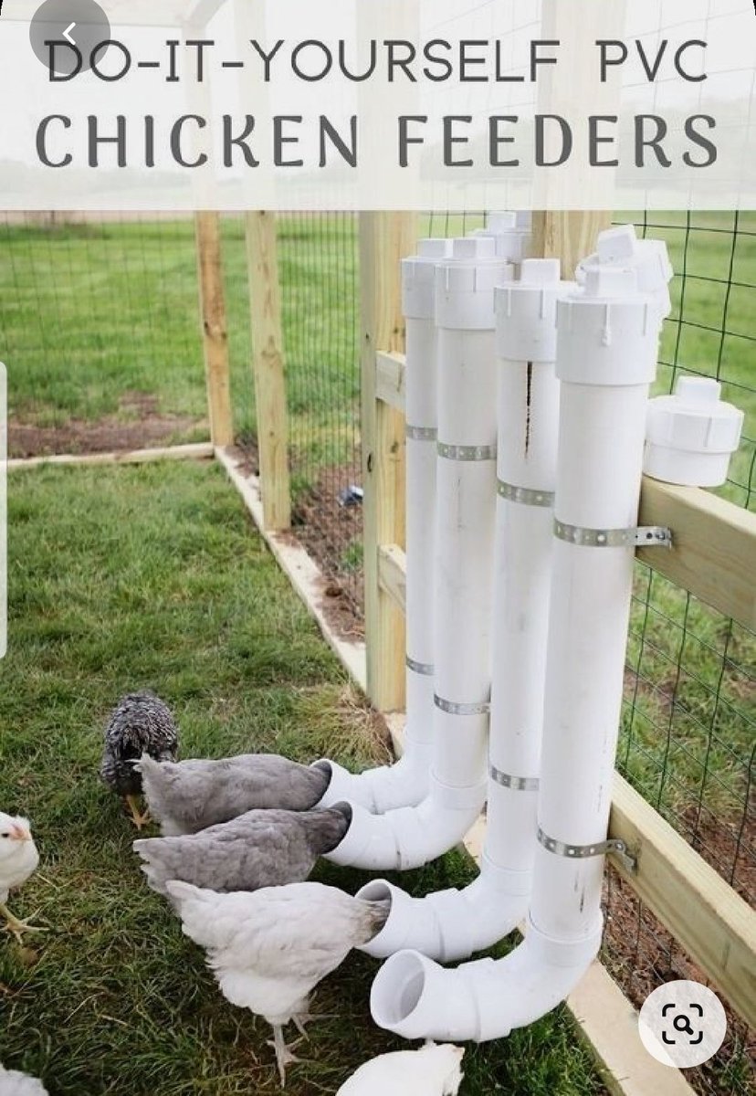 Nataka kueka hizi feeders.