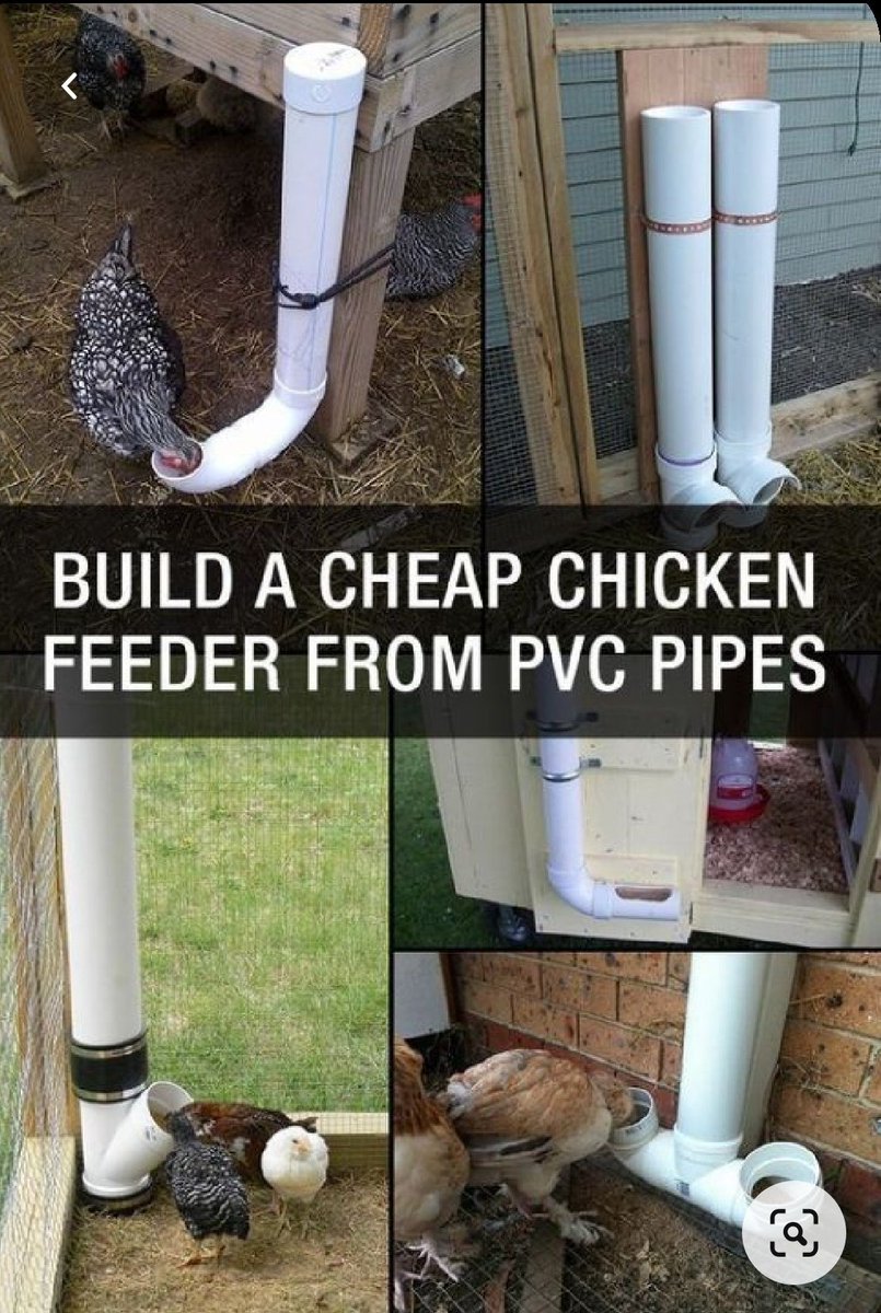 Nataka kueka hizi feeders.