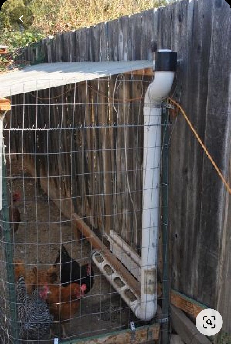 Nataka kueka hizi feeders.