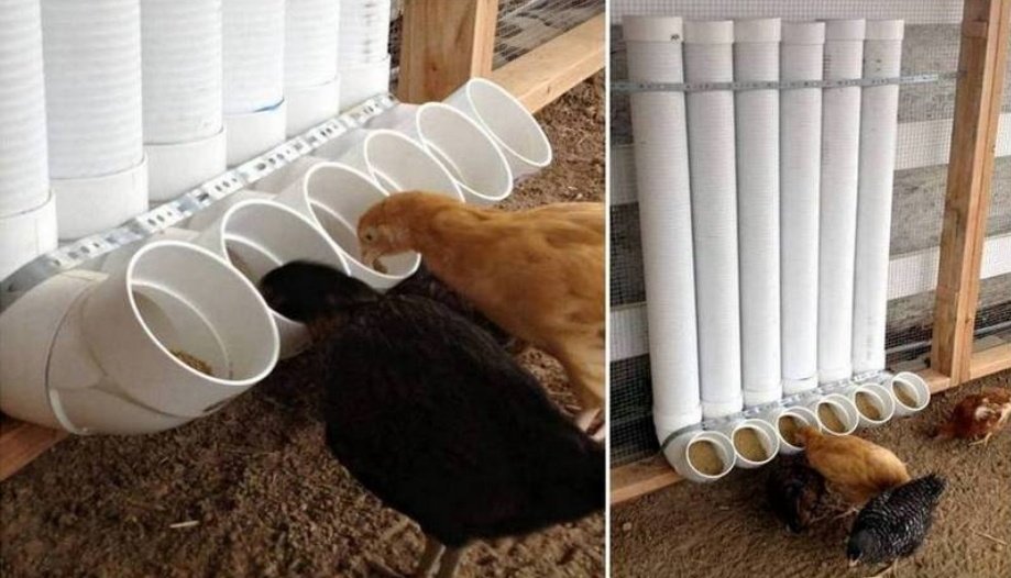 Nataka kueka hizi feeders.