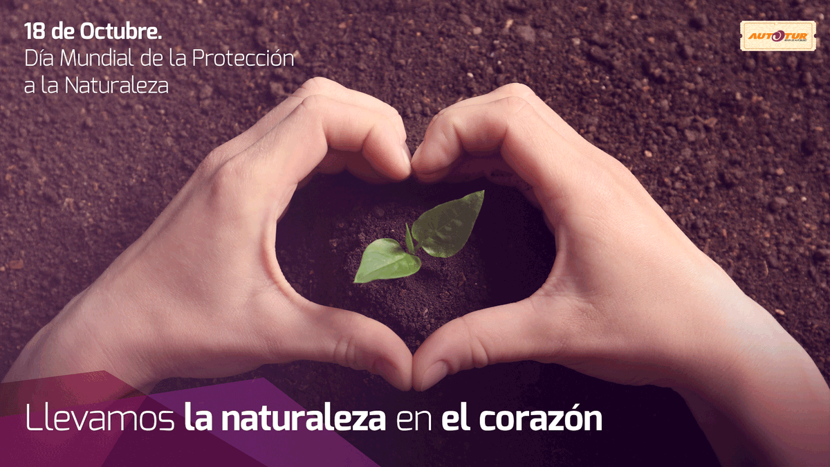 autoturmx's tweet photo. Nada como la naturaleza, es lo más importante para nuestro planeta. Hoy celebramos juntos el #DíaMundialDeLaProtecciónALaNaturaleza y lo festejamos como se debe, #EnLaAventura. #QuédateEnCasa #CuídateYCuídame https://t.co/uaTzrnNYbJ