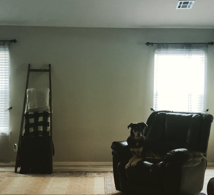 Taylor Austin tweet media