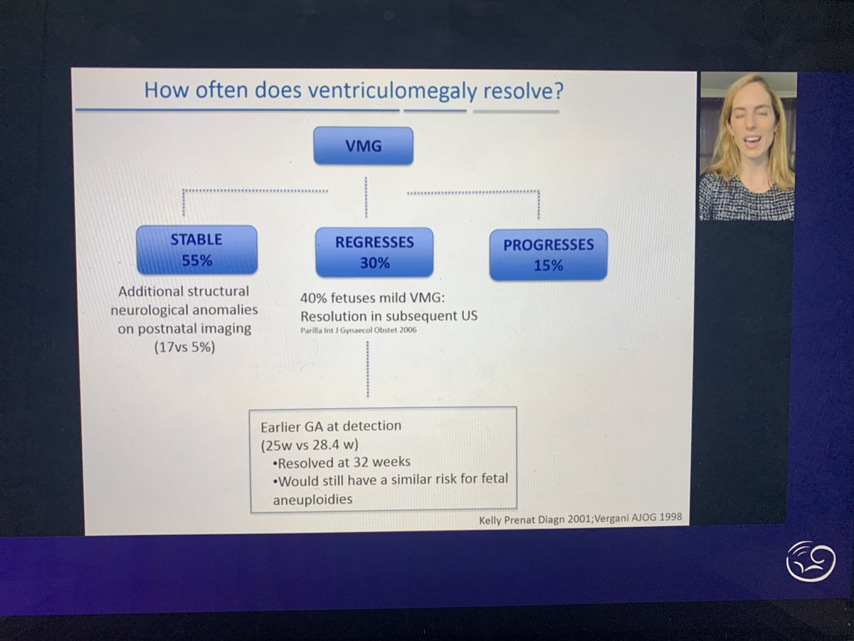 lucastrigo's tweet photo. Outstanding presentation from @masancor07 regarding ventriculomegaly. Thank you for such amazing masterclass! @ISUOG #isuog2020 #fetalmedicine #ventriculomegaly https://t.co/bdPUQ80RoS
