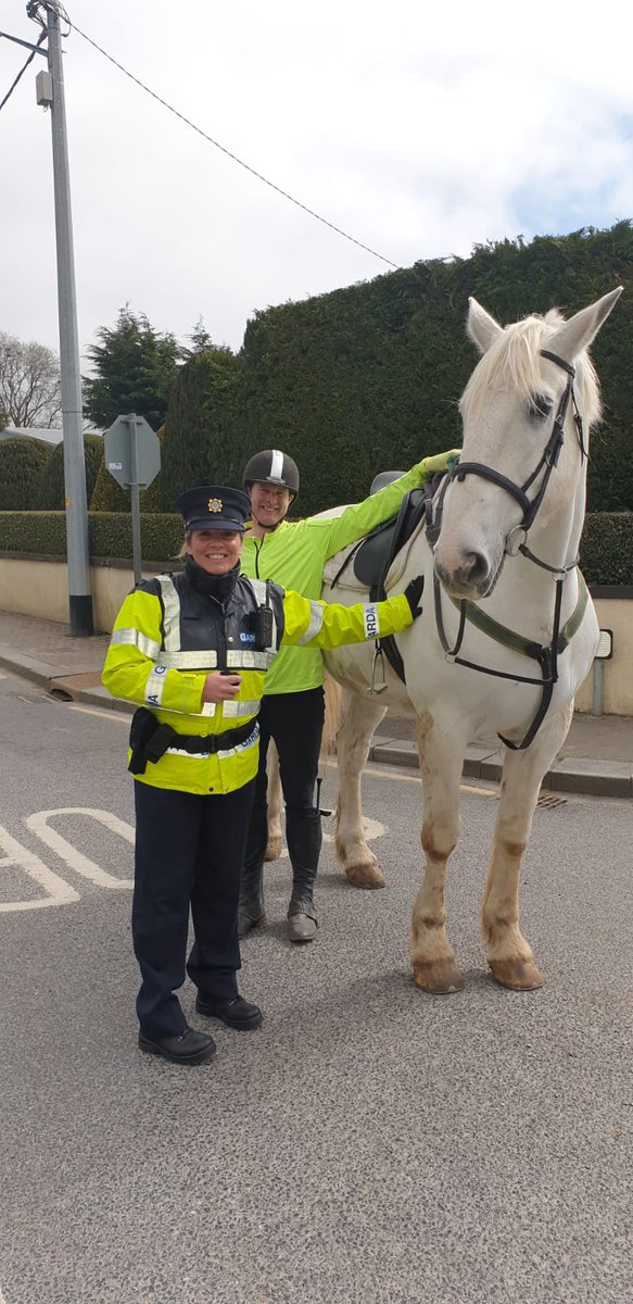 gardainfo's tweet photo. Gardaí from the Tallaght District on community engagement patrols this week checked in on elderly and vulnerable residents in the area, and spoke to local children and advised them on keeping safe this Halloween. #HeretoHelp #HoldFirm https://t.co/niJT4yuLqi