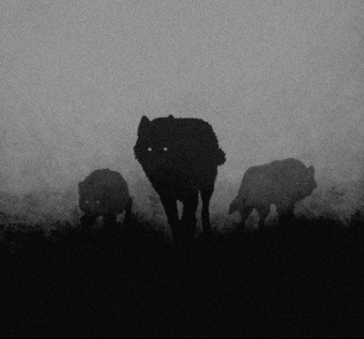 🌘*
          Songtid  、jisung  🕳  𓈒    แลกฟอล * ตามทัก 𝕵ust rt  、🐺

ยพท, ลฟตท