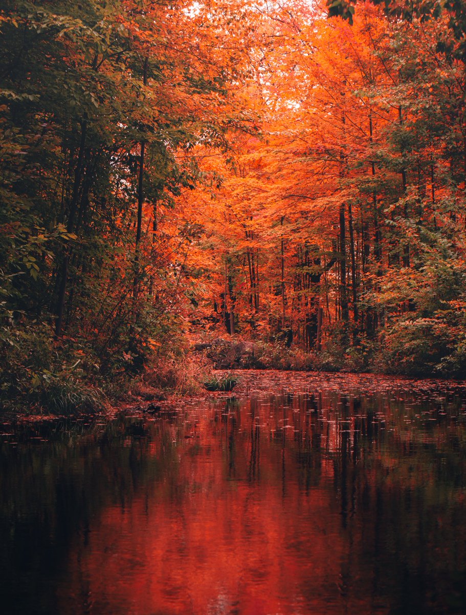 ChrisBecke's tweet photo. Recent #Autumn adventures, gotta seek out them #fallcolours while they last
.
#Autumn2020 #pmfallgridchallenge https://t.co/7frJMxB2qu