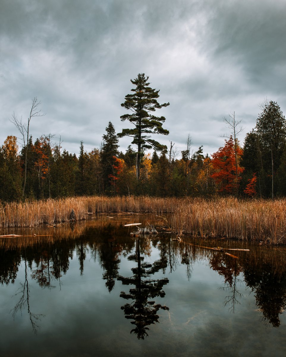ChrisBecke's tweet photo. Recent #Autumn adventures, gotta seek out them #fallcolours while they last
.
#Autumn2020 #pmfallgridchallenge https://t.co/7frJMxB2qu
