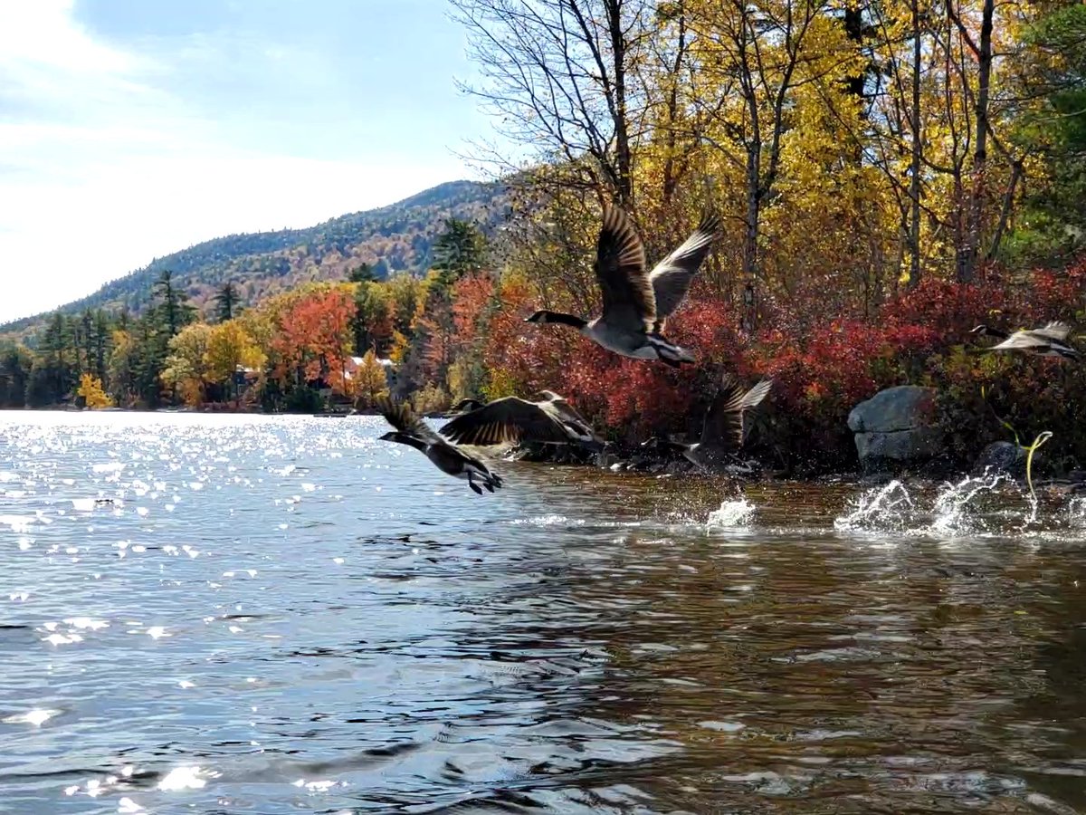 Very impressed with myself for getting this shot, lol!