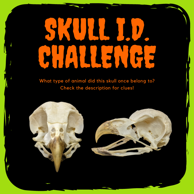 Woodlands Nature Station in LBL tweet media