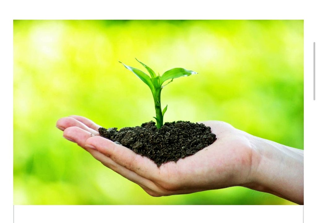 Устойчивое развитие фон для презентации. Растения в почве. Green growing. Green growing. Зеленый росток.