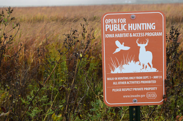 fishshootouts tweet media