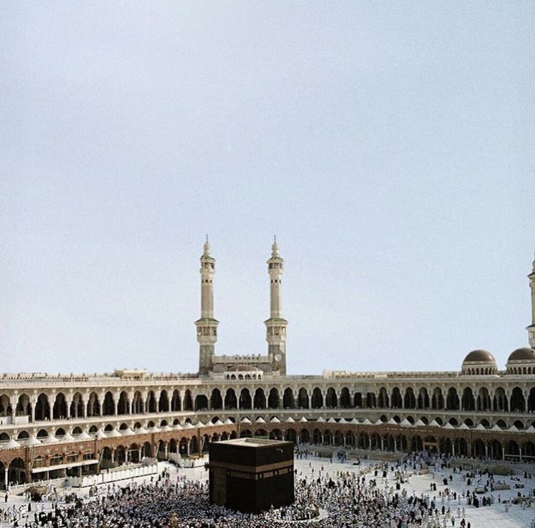 🩺يحيى tweet media