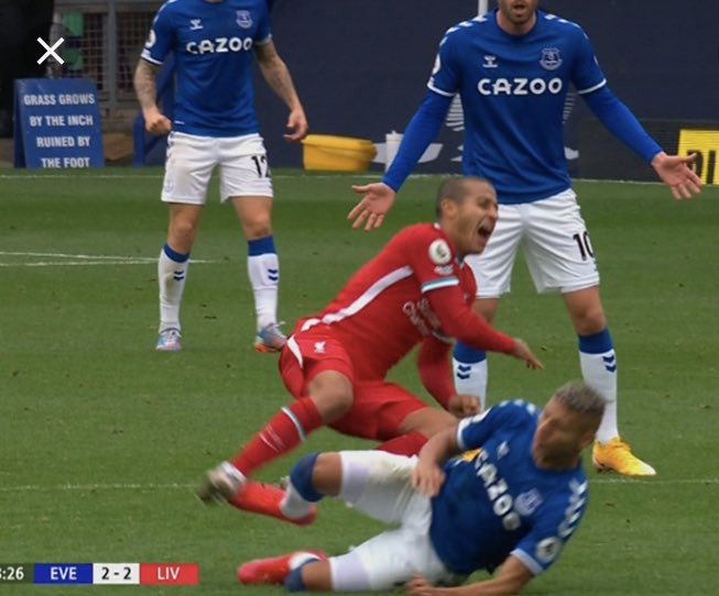 blouienose tweet media