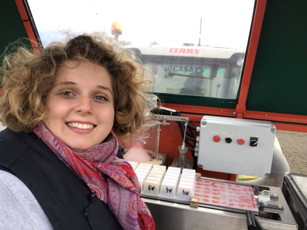 VictoireDupont6's tweet photo. Pas de repos dominical pour le triticale ! 🤗

Chaque individu est placé à 100 mètres des autres.

 Le but ? Éviter la pollinisation croisée 🤗

Y aurait-il une pépite pour le catalogue semences 2022 de @GroupeFDesprez ? 🧐 @jedi_59 

#Girlpower
#Ceuxquifontlessemences https://t.co/T48KC2KjYX