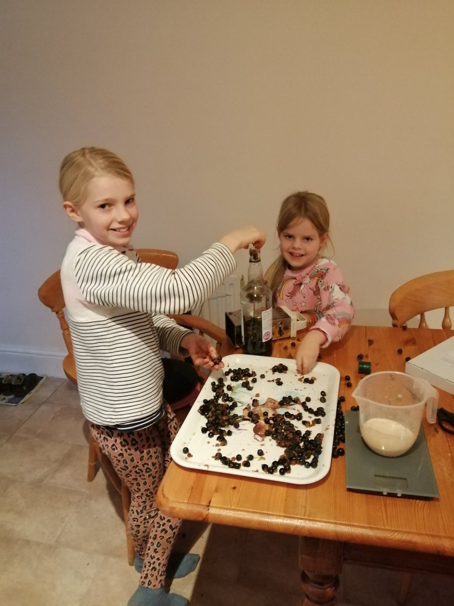 Kate Horne (@KateHor30099782) on Twitter photo 18/10/2020 17:44:33 Sloe gin for Christmas. It could be fun after all Sloe gin for Christmas. It could be fun after all