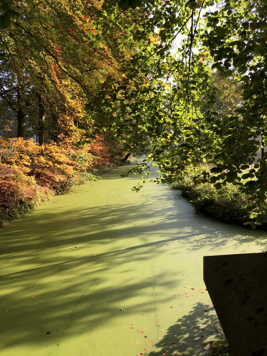 Wat een ongelofelijk indrukwekkende zondagochtendwandeling was de Dag van Heino van de Alternatieve Sallandse wandelvierdaagse van <a href="/SW4Draalte/">SW4D</a>!  Onder de indruk van dit deel van Overijssel. #puurgenieten #wandelsport #visitoost

strava.com/activities/421…
