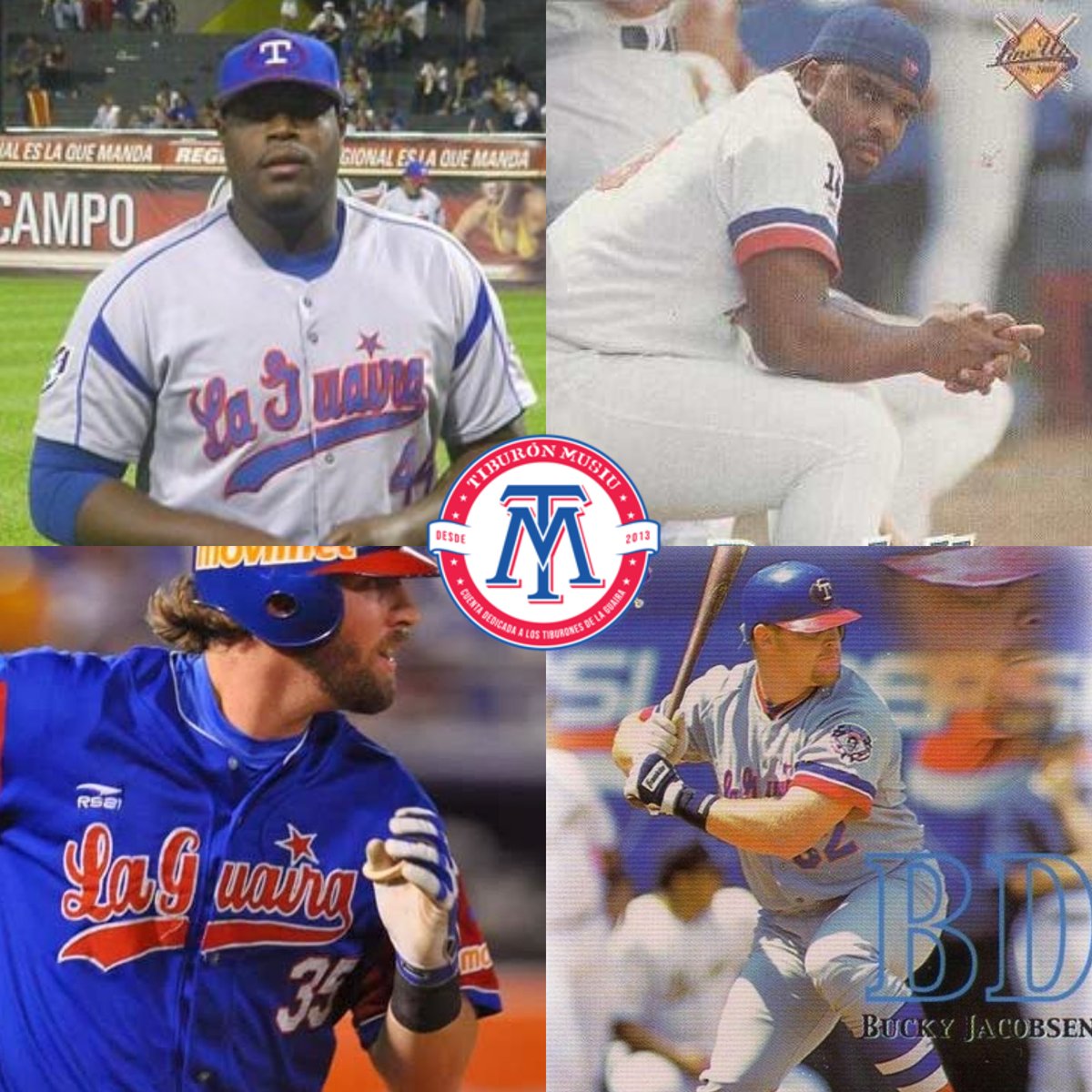 tiburonmusiu's tweet photo. [SEMIFINAL B] INICIALISTA FORÁNEO de #Tiburones de La Guaira en el lapso comprendido entre 2000 y 2020. Vota por tu favorito (Avanzan 2):

Walter Young 🇺🇸
Randall Simon 🇨🇼
Andy Wilkins 🇺🇸
Bucky Jacobsen 🇺🇸

#WalterYoung #RandallSimon #AndyWilkins #BuckyJacobsen #LaGuaira https://t.co/iqLHErEBWj