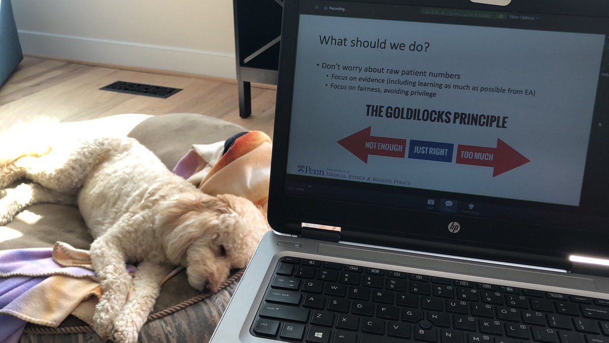 tobyschonfeld's tweet photo. Don’t let Miss Moneypenny’s reaction fool you - the expanded use panel is fantastic! #ASBH20 #PetsofASBH20 @HollyLynchez @ABatemanHouse @SeemaKShah https://t.co/Xbi6GJp5YG
