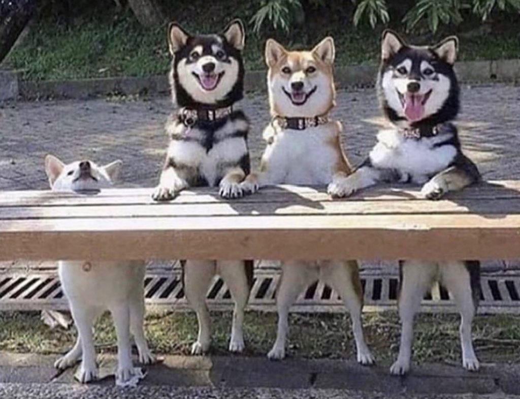 arkadaslarim arasinda ben