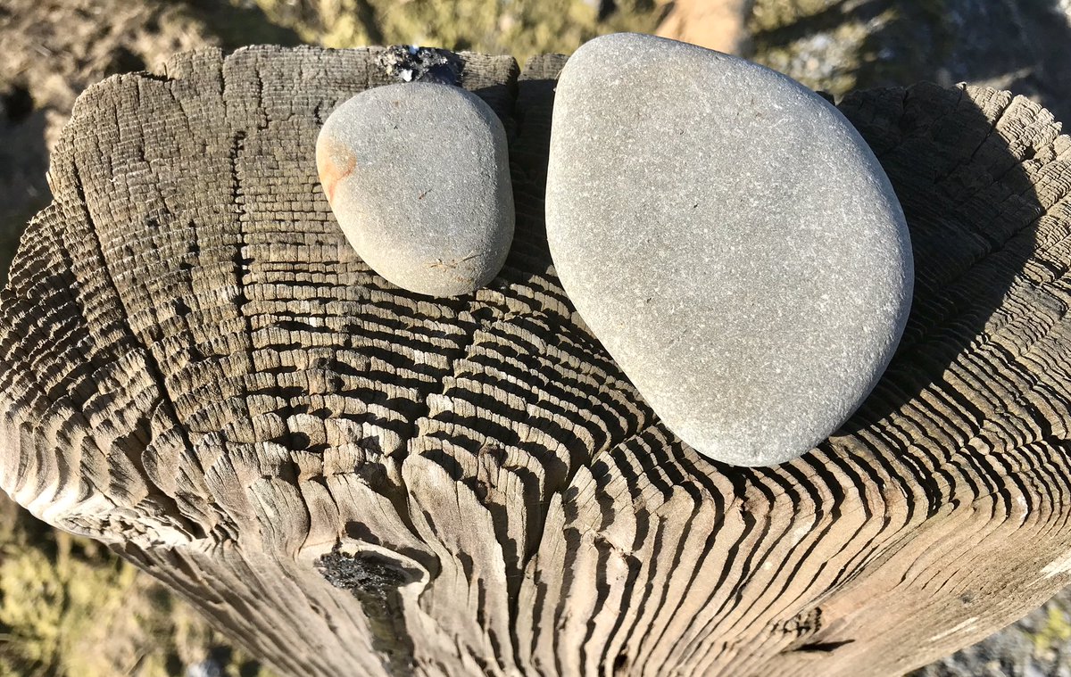 c_duigan's tweet photo. @DNThomas01 Another #Anglesey #YnysMôn fence post after #HenryMoore - Good luck with your next adventure #texturehuntergatherer - looking forward to seeing lots of mosses and lichens #microlandscapes https://t.co/ZLRHinHMy0