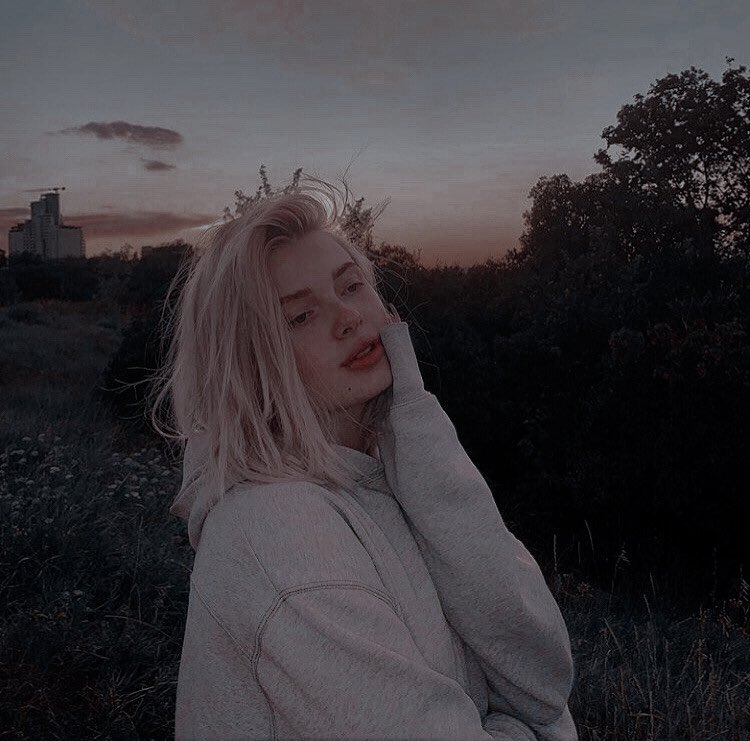 ㅤㅤ

⠀⠀𝑻𝒉𝒆 𝒚𝒆𝒍𝒍𝒐𝒘 𝒂𝒏𝒅 𝒐𝒓𝒂𝒏𝒈𝒆 𝒐𝒇 𝒔𝒖𝒏𝒔𝒆𝒕𝒔

ㅤ