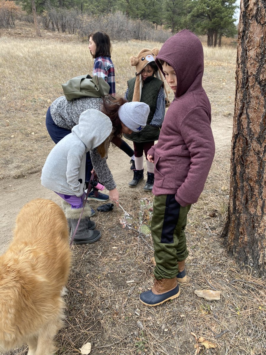 Getting chilly in Colorado, but perfect for a Sunday hike.