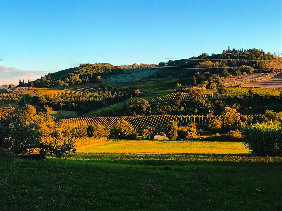 LapoManni's tweet photo. 🍇 https://t.co/bngYHxwqr9