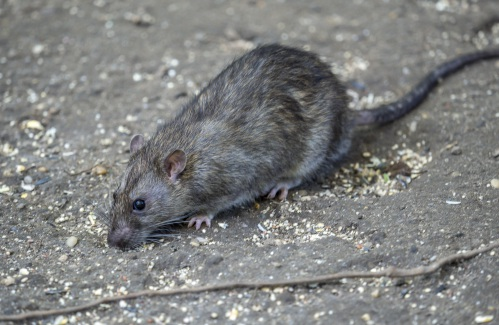 View image on Twitter