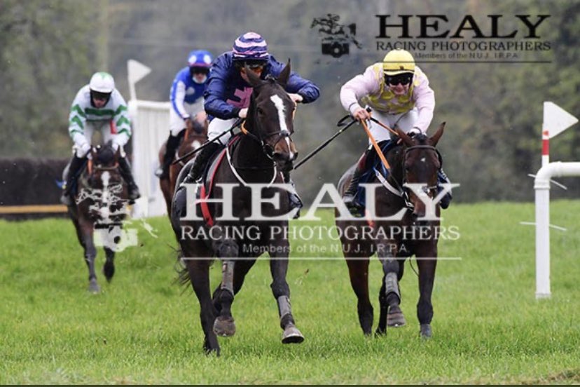 QrIrish's tweet image. Well done to @bononeill1 #4timer &amp;amp; @CoddJJ #treble today at Tinahely &amp;amp; Umma House @irishp2p #winners @colinboweracing @gelliott_racing @BallyboyStables @WJHJT @RInsideTracktv