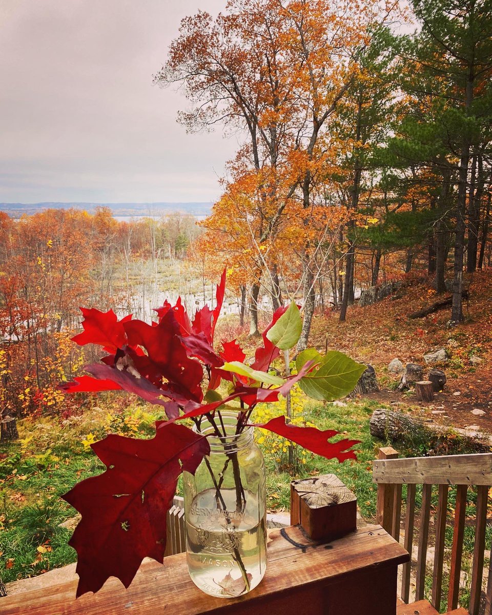 home sweet home till Wednesday! #cabinlife #cabinfever #OOO #minigetaway #autumnvibes🍁 #ottawavalley #deaconescarpment