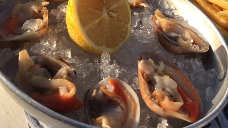 Yummy! Smooth clams!
Man I love Greece🇬🇷
#sundayfunday #lunchtime #seafood #greeksalad #shells #smoothclams #sealovers #bythesea #flisvosmarina #sunset #beautifmoments #sunnyday #greektavern #entrepreneur #freedom #enjoyinglife #greece https://t.co/s6F5RwDy5i