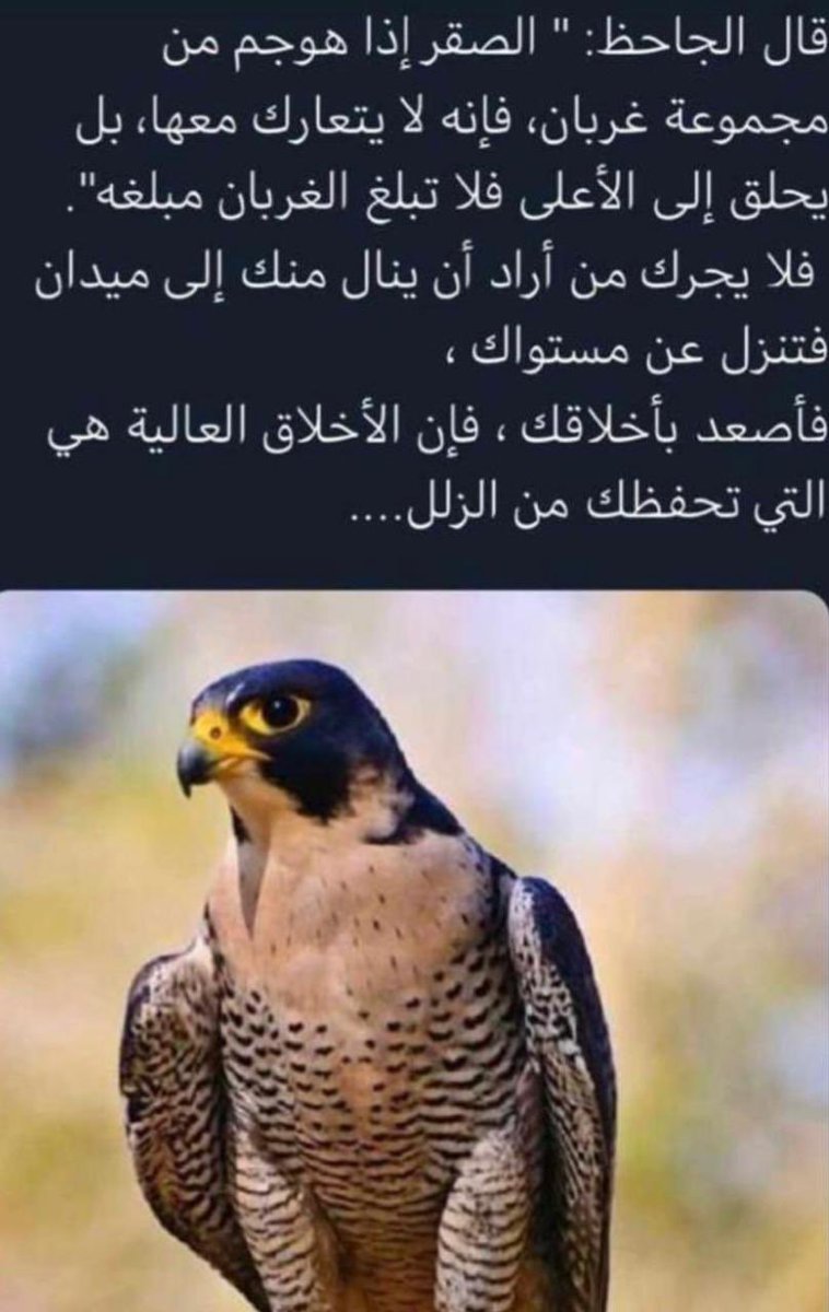 MotionMarkkus's tweet photo. اعجبني قول الجاحظ https://t.co/MCzRaqwHmN