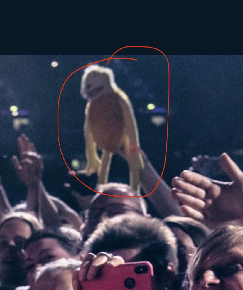 CJGPmusic's tweet photo. @chris_burns_93 @museband There you are holding me up! 😅 https://t.co/NhKt77TthT