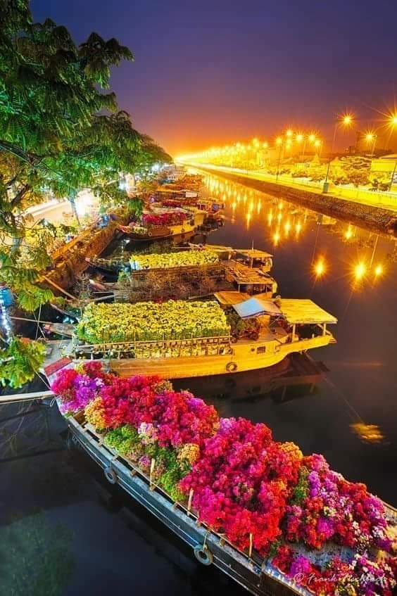 SZinyana's tweet photo. Hola amazing toou   de luxx💞💞💞💞💞💞🍇🍇🍇🍇🍇🍇🍇🍋 https://t.co/PMWMCAYy3r