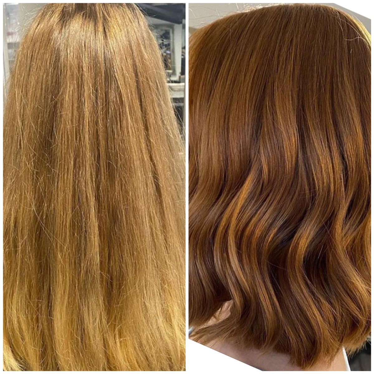 houseoffinesse's tweet image. Warm tones for autumn 🎃
Here we did a colour change using #kolestonperfect for a beautiful ,even and natural finish ! We did a really good cut to get rid of those lockdown ends and finished with @CloudNineC9 straighteners for a soft wave to roll into the new seasons🙌🏼 @WellaPro