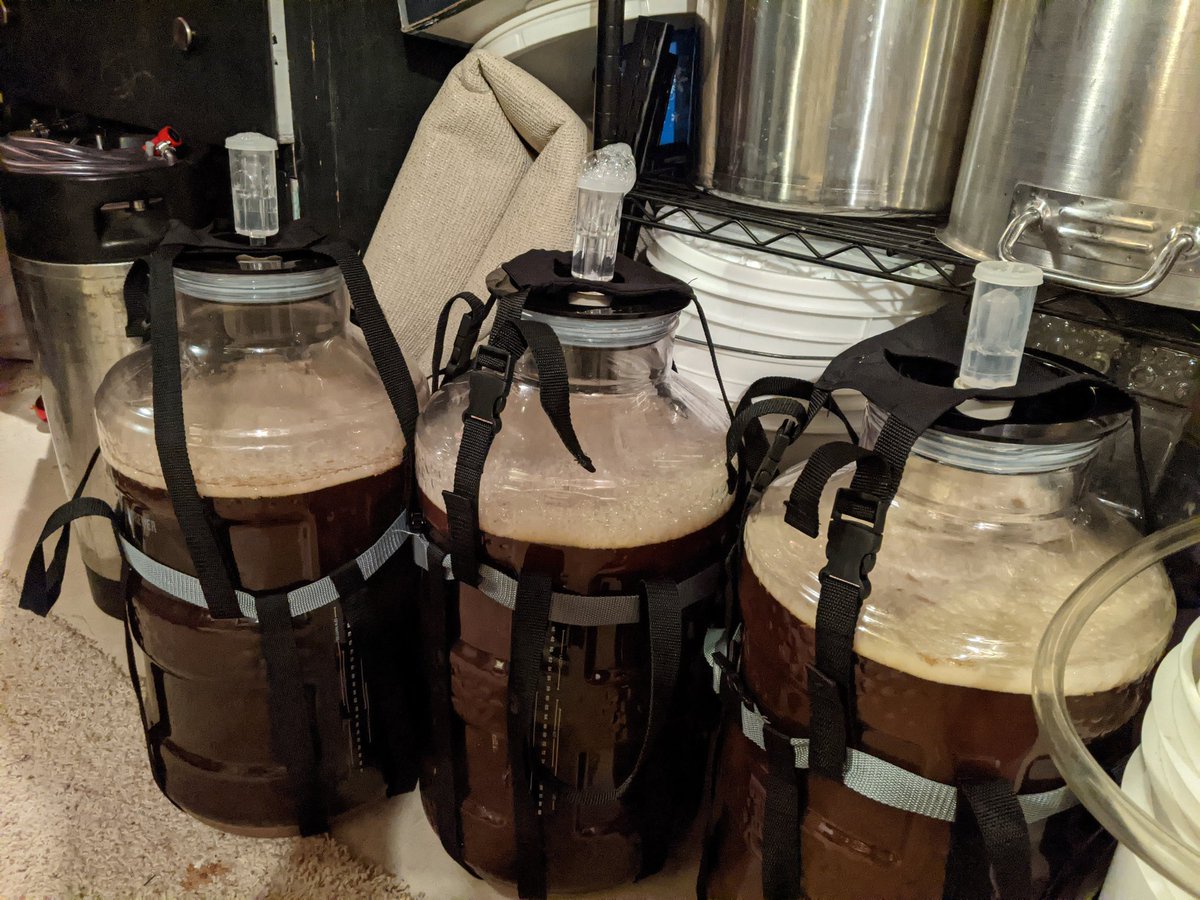 15 gallons of a #homebrew winter ale fermenting away! Honey, molasses, ginger root, orange zest and all spice. Plus, vanilla beans going in a week into fermentation. Smells glorious! #CraftBeer 🍻🍻