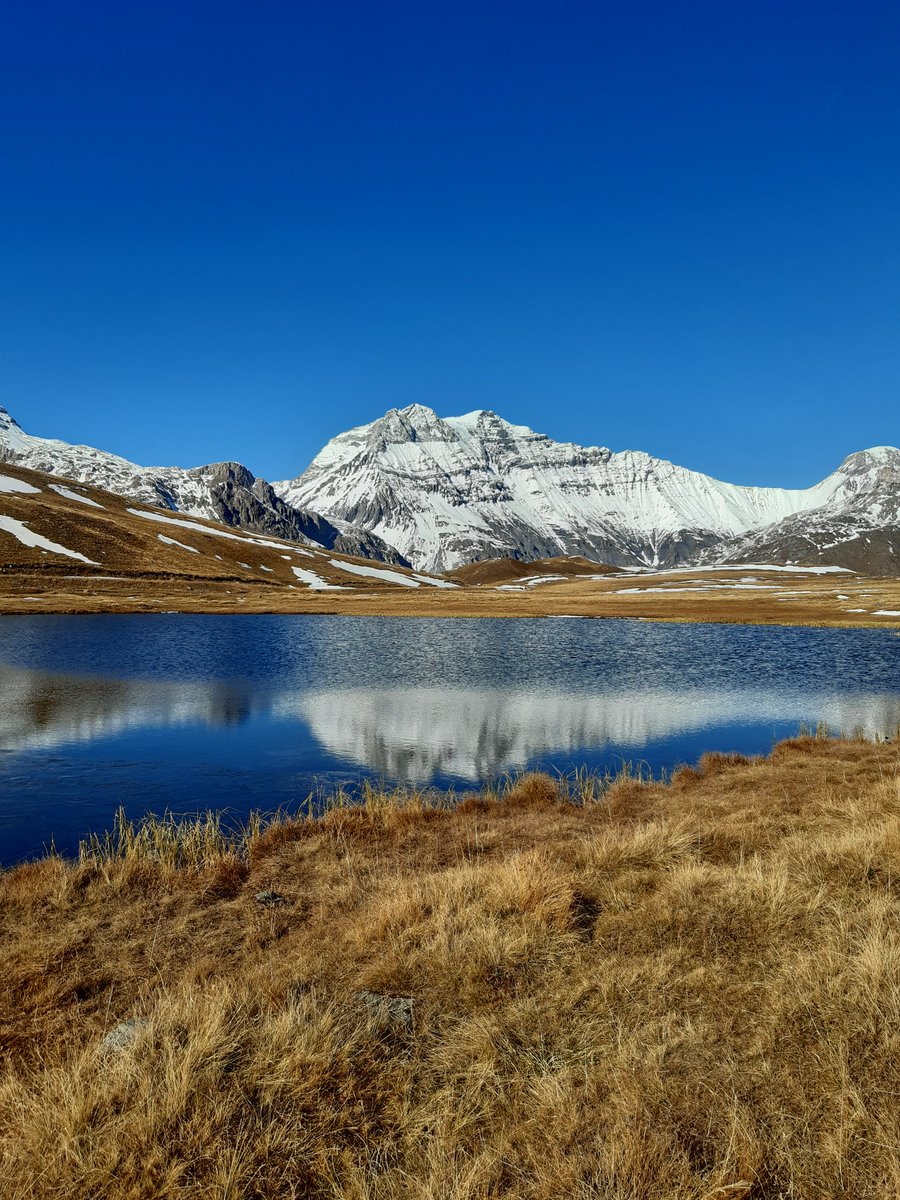 LouPiccoloEdits's tweet image. No matter how long I&apos;ve lived in the #Frenchalps, the view never gets old. I almost didn&apos;t #stetwalk, but aren&apos;t you glad I did?
#edibuddies #bellecombe #editorslife #amediting #mauriennisezvous