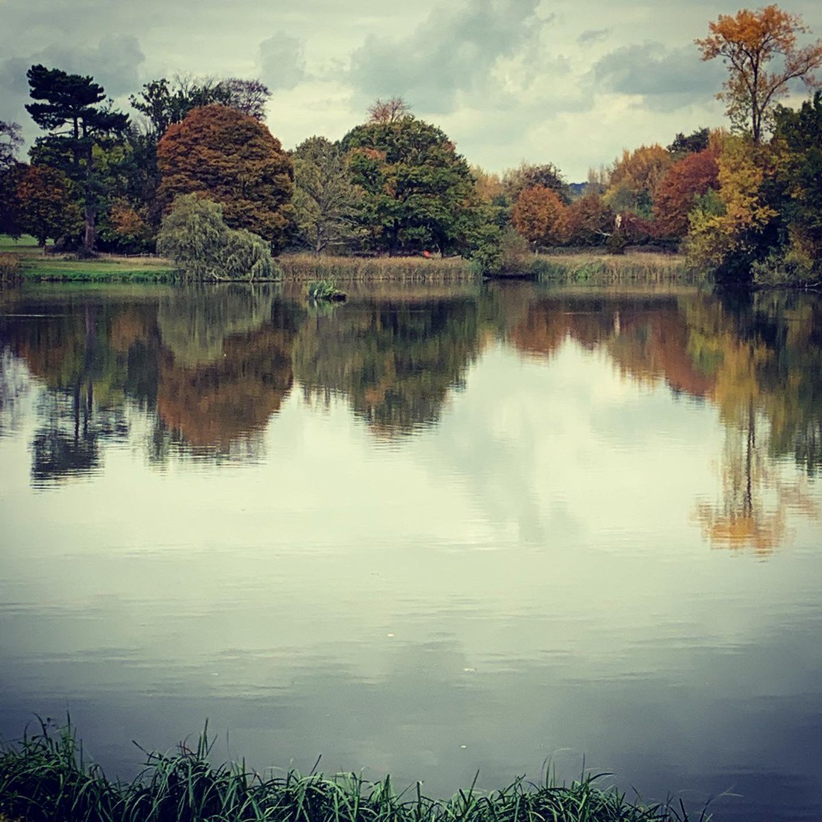 Alison Stevenson tweet media