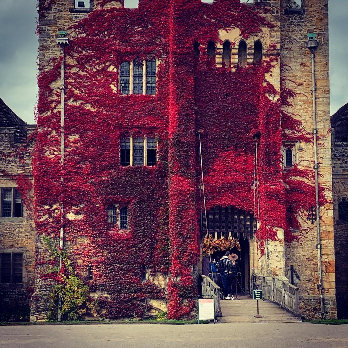 Alison Stevenson tweet media