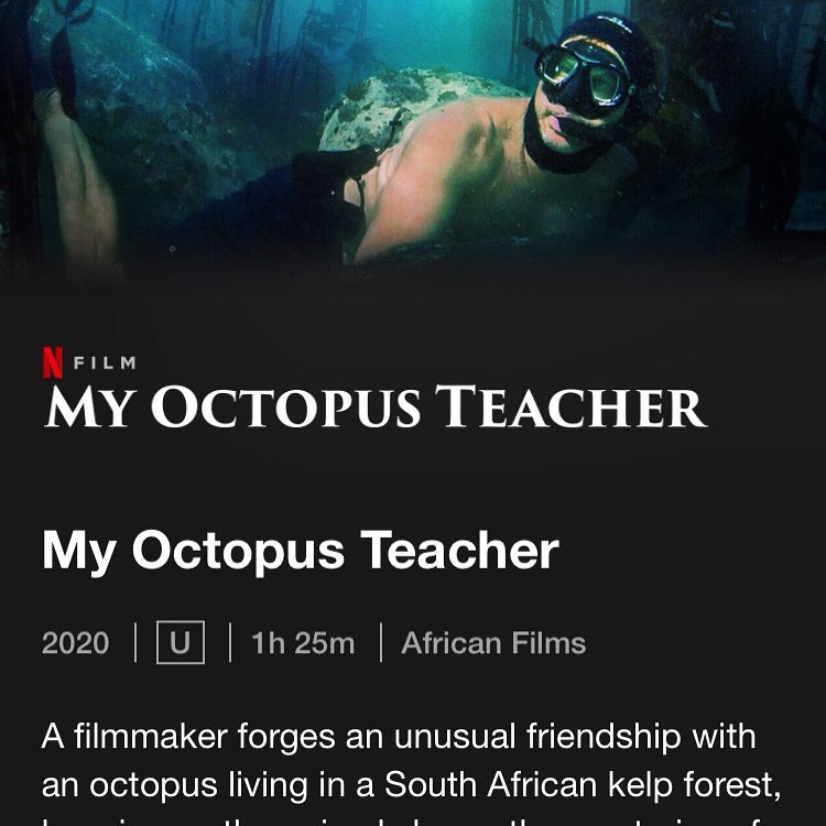 CarlaTheCoach's tweet photo. Watch this!! @seachangeproject Beautiful, inspiring and moving documentary film. #octopus🐙 #underwaterworld #naturelover #netflix #inspiring https://t.co/vpbHlLjq8H