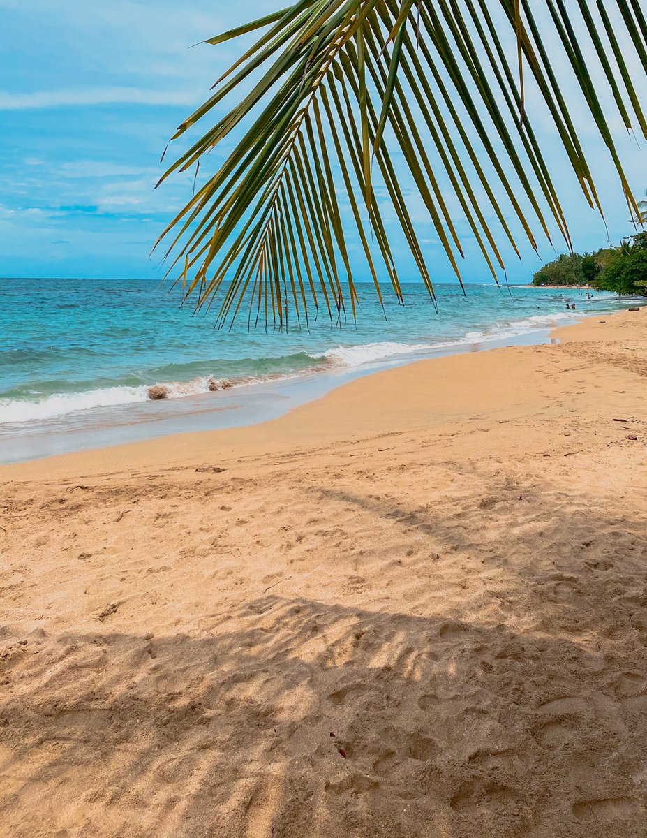 Punta Uva🌴🌊