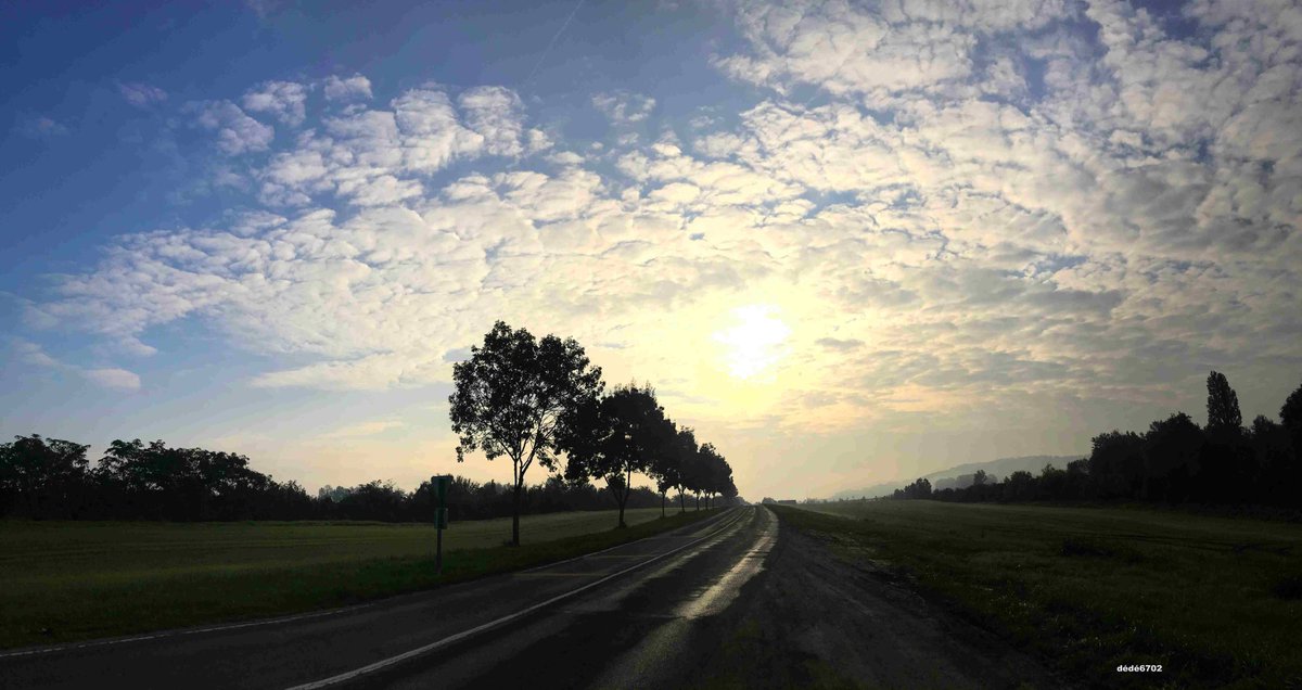 Ciel voilé sur Ciry-Salsogne 02 🇫🇷
#hautsdefrance #NaturePhotography #photooftheday #naturelovers #naturephoto #TwitterNatureCommunity #ePHOTOzine #FranceMagique #nature #photographie #photographylovers #PHOTOS https://t.co/aWK8bDIAsZ