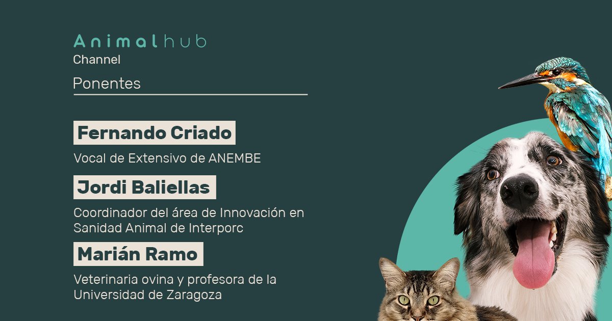 Animalhub_es's tweet photo. ¿Quién se apunta al #AnimalHubChannel de mañana a las 19:00?
⏯️ https://t.co/RyKODbe3G7
🐑🐖🐄
@COLVEMA @ocvespana @atresmediacom @MSDAH_es @SECAL_T @ceve_vet @usvema @Interovic @interporc @Provacuno https://t.co/grwFEQRwnF
