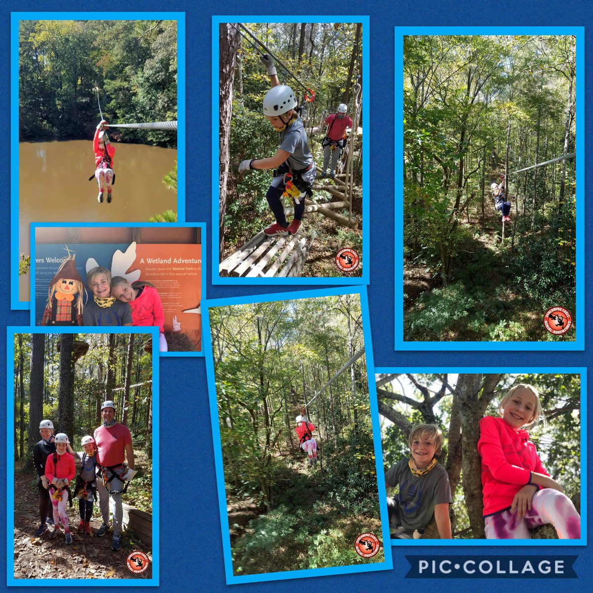 Andy L. Allison tweet media