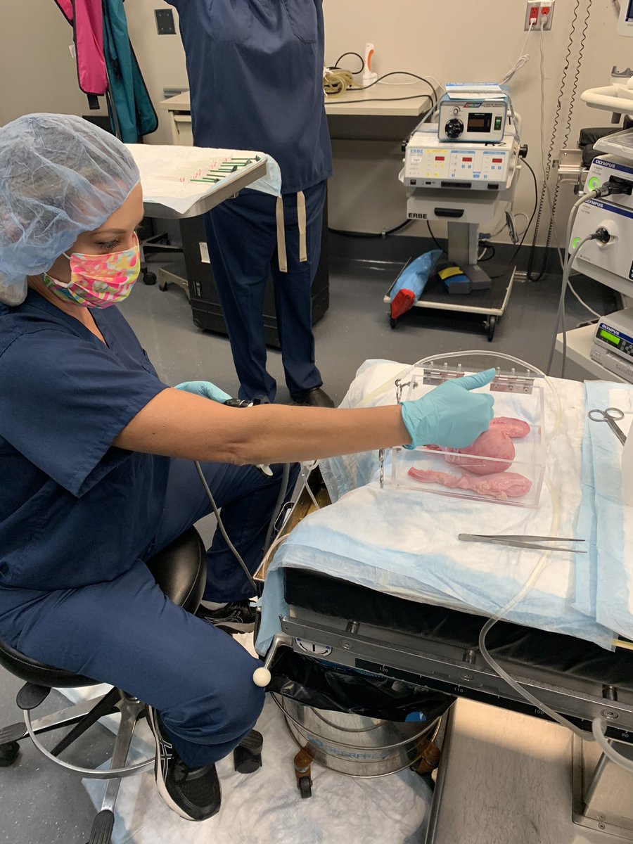 Casey Kanel (@casey_kanel) on Twitter photo Big kudos to <a href="/drjld2011/">Jamie DiPietro</a> at Urology Associates of Central California in Fresno for a stellar Bulkamid (Urethral Bulking Agent) Experience. Dr. DiPietro had a successful Wet Lab Day learning the nuances of the Bulkamid System! Day 2 of Cases to follow....<a href="/bulkamid/">Bulkamid - a urethral bulking agent</a> @Contura_Inter Big kudos to <a href="/drjld2011/">Jamie DiPietro</a> at Urology Associates of Central California in Fresno for a stellar Bulkamid (Urethral Bulking Agent) Experience. Dr. DiPietro had a successful Wet Lab Day learning the nuances of the Bulkamid System! Day 2 of Cases to follow....<a href="/bulkamid/">Bulkamid - a urethral bulking agent</a> @Contura_Inter