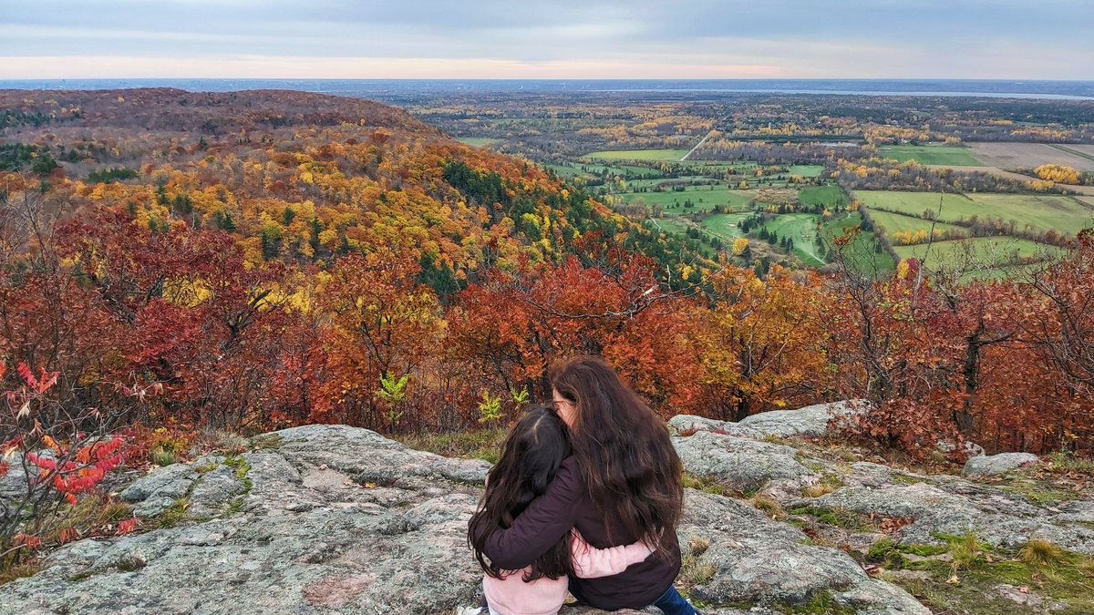 Ottawa is not boring tweet media