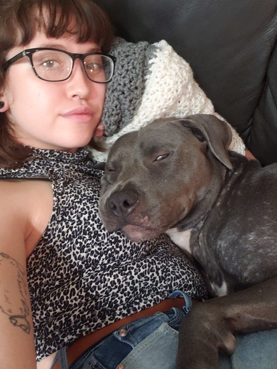 Noelle On Twitter This Pic Made Me Feel Disgusting Bc I Can See Where I Ve Gained Weight But My Dog Looks Cute So Here You Go