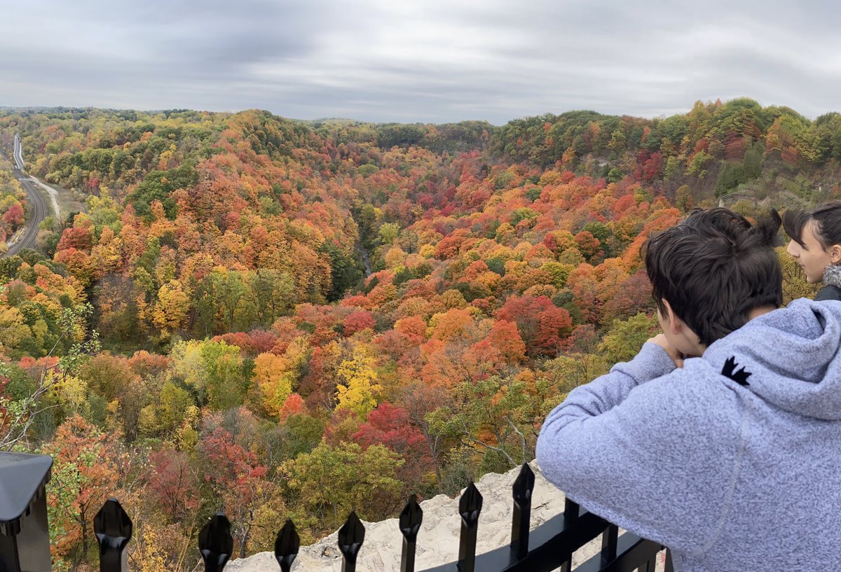 NectariaKargas's tweet photo. @NicholasFerroni Fall in Ontario. No filter. ❤️🇨🇦❤️ https://t.co/tBuz1vAerw