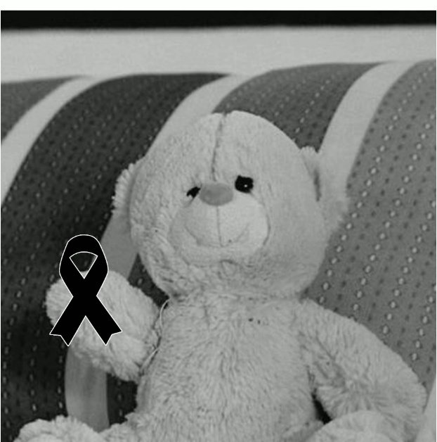 _nachooquiiros's tweet photo. #LaIslaDeLasTentaciones8 Ahora Si Oficialmente. D.E.P Rosito (1992-2020)😭 https://t.co/rc6yvc7Nq5