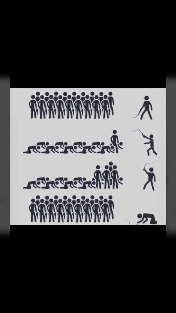 🫴🏾 tweet media